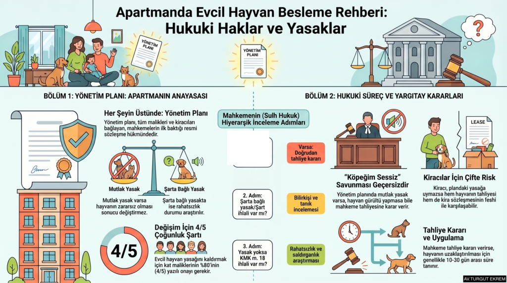 APARTMANDA EVCİL HAYVAN BESLEME